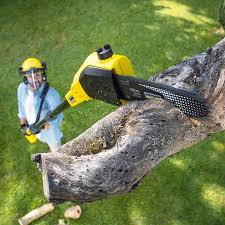 Best Aeration Services  in Gilbert, MN